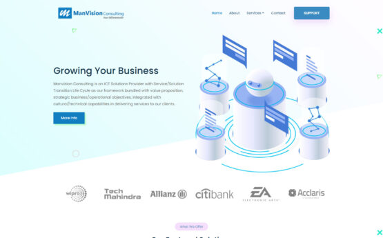 Manvisiontech WordPress Website